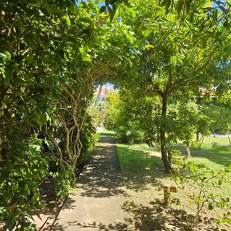 Aloha Beach Guest House-2